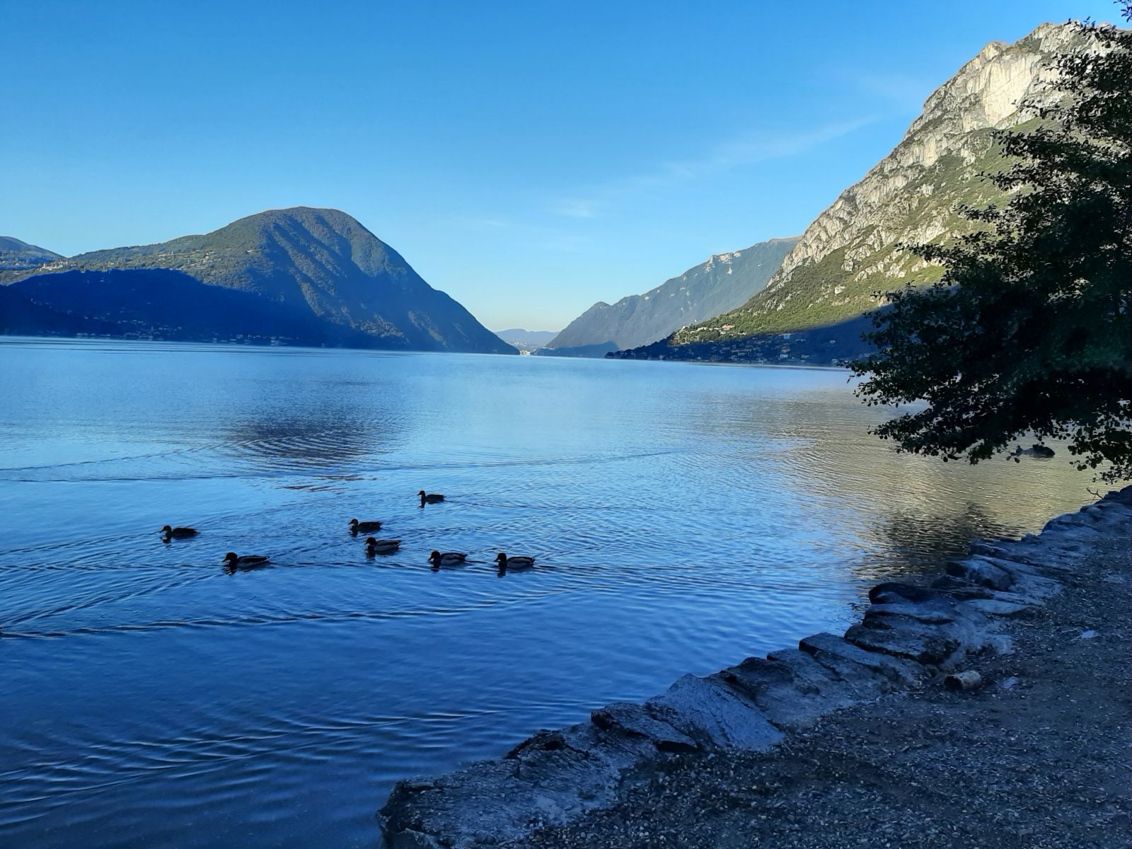 Luganomeer vanaf camping/Luganersee von der Campingplatz